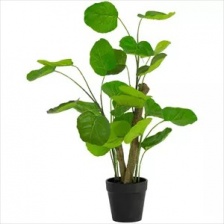 Faux Chinese Money Plant by Grand Illusions